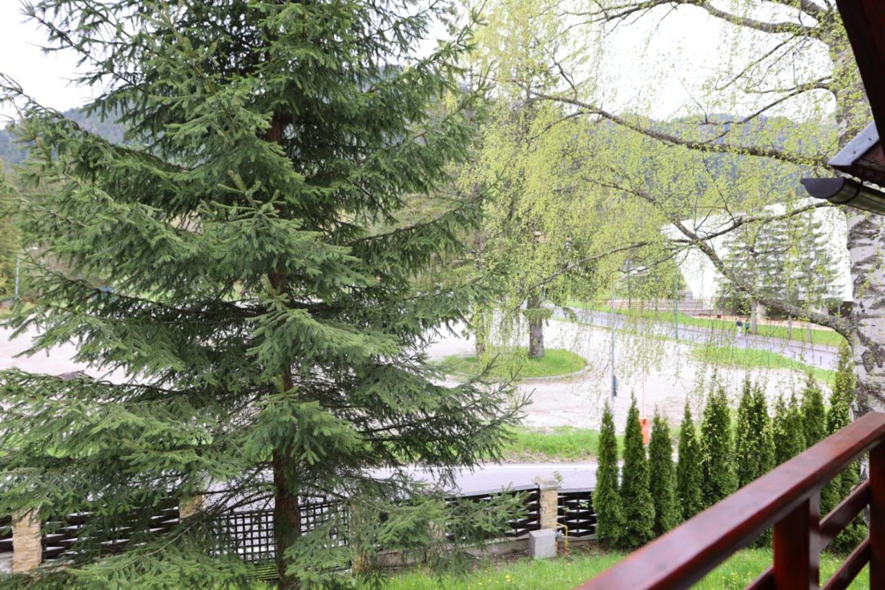 Vila Pinul Si Mesteacanul Poiana Brasov Ngoại thất bức ảnh