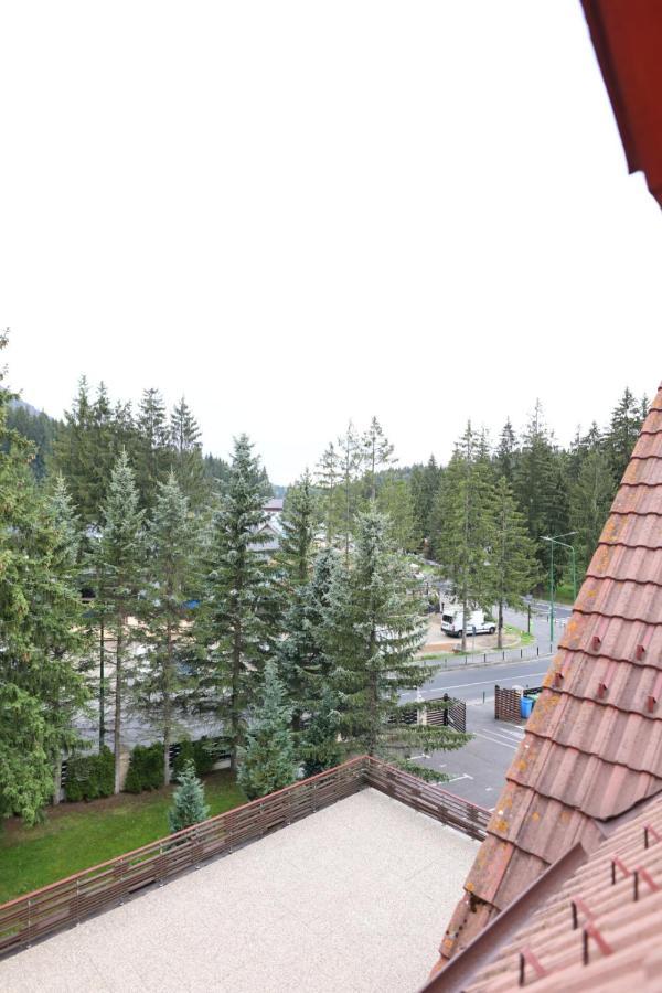 Vila Pinul Si Mesteacanul Poiana Brasov Ngoại thất bức ảnh