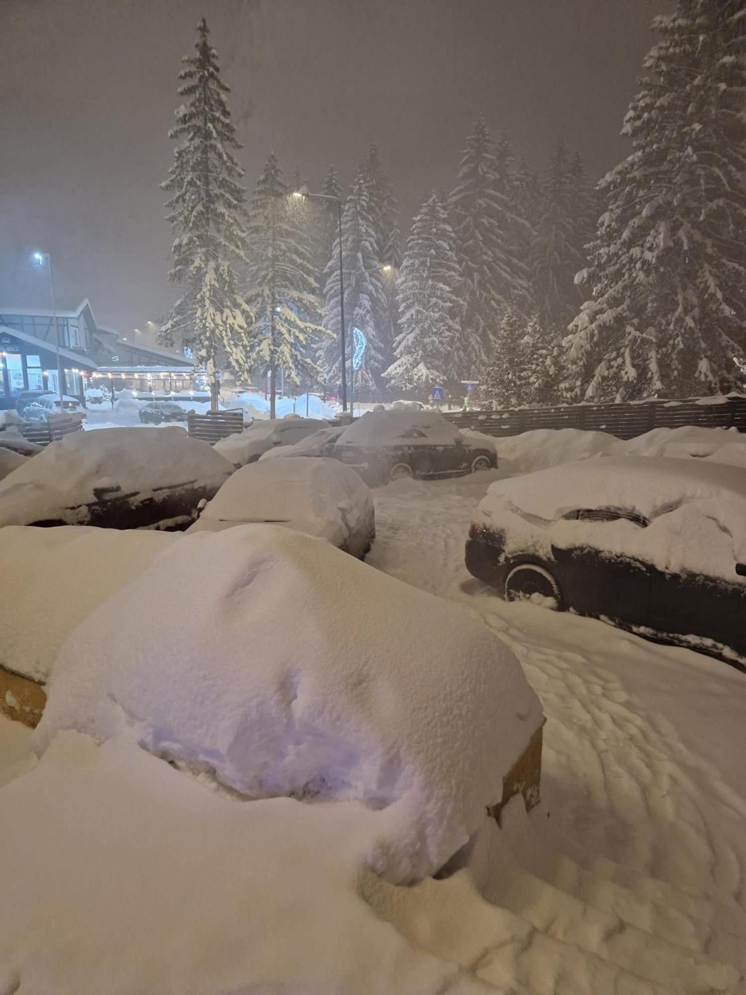 Vila Pinul Si Mesteacanul Poiana Brasov Ngoại thất bức ảnh