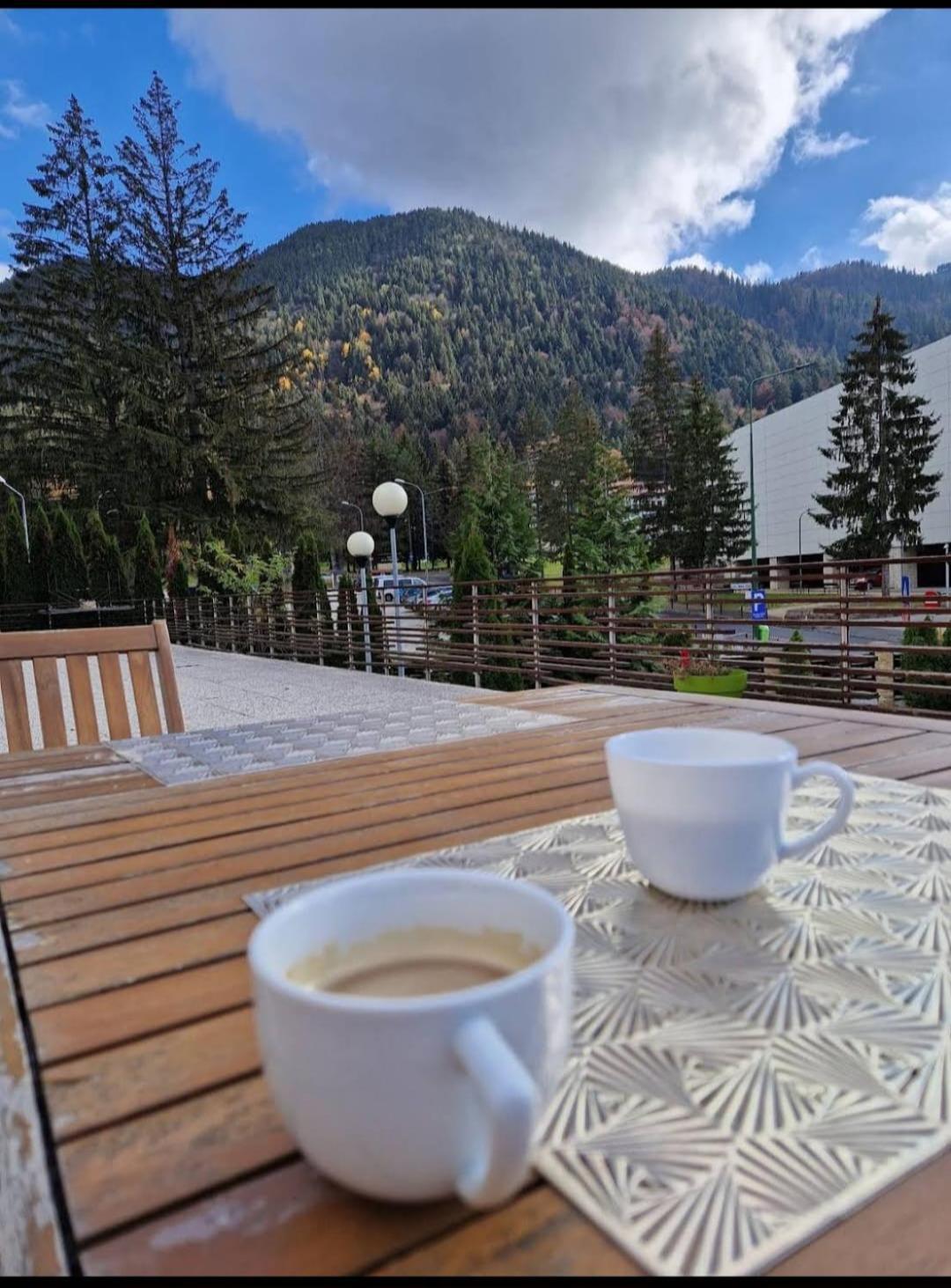 Vila Pinul Si Mesteacanul Poiana Brasov Ngoại thất bức ảnh