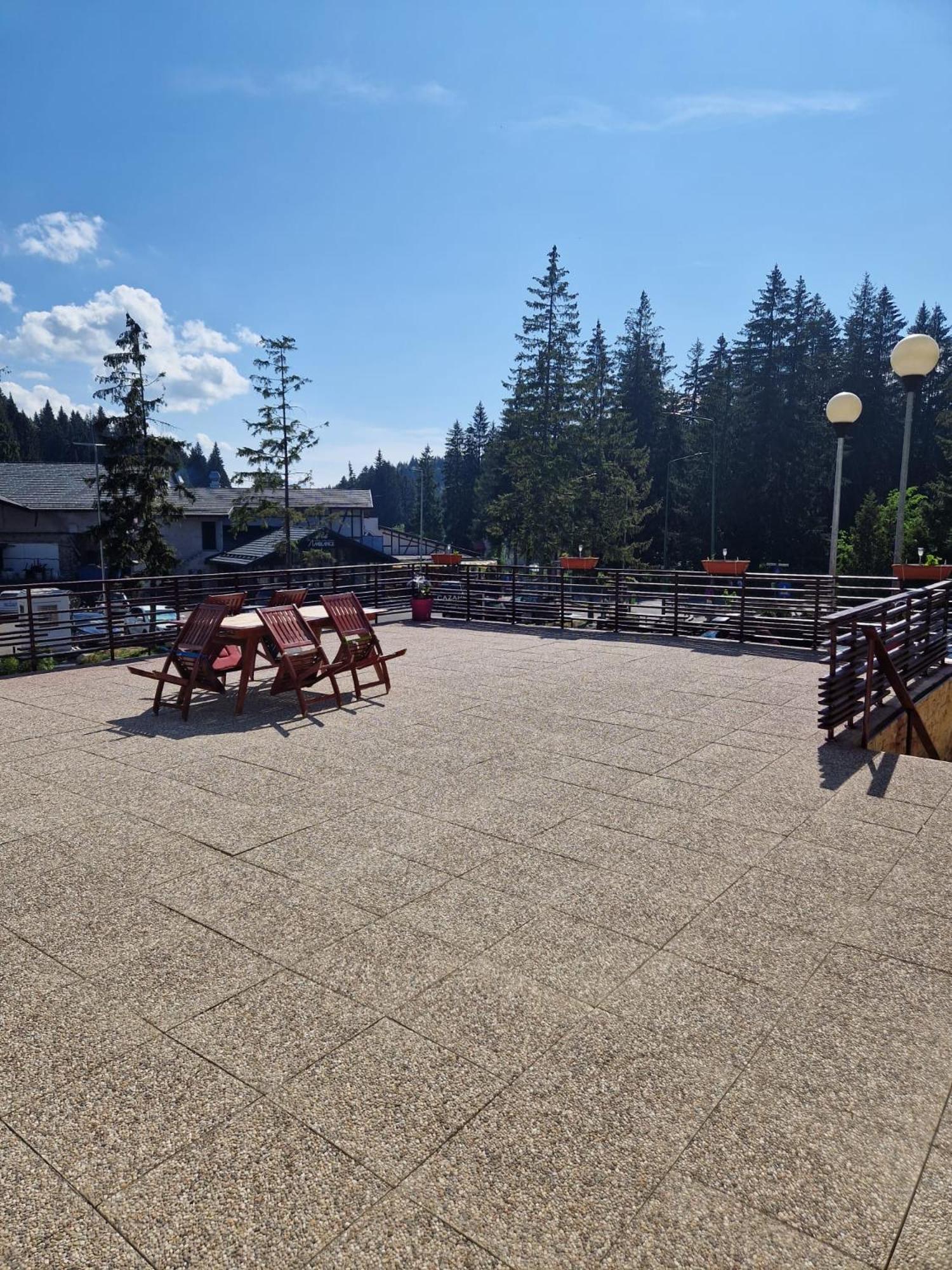 Vila Pinul Si Mesteacanul Poiana Brasov Ngoại thất bức ảnh