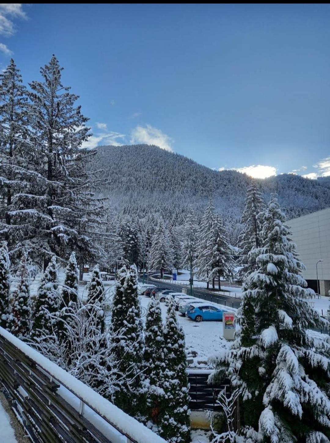 Vila Pinul Si Mesteacanul Poiana Brasov Ngoại thất bức ảnh
