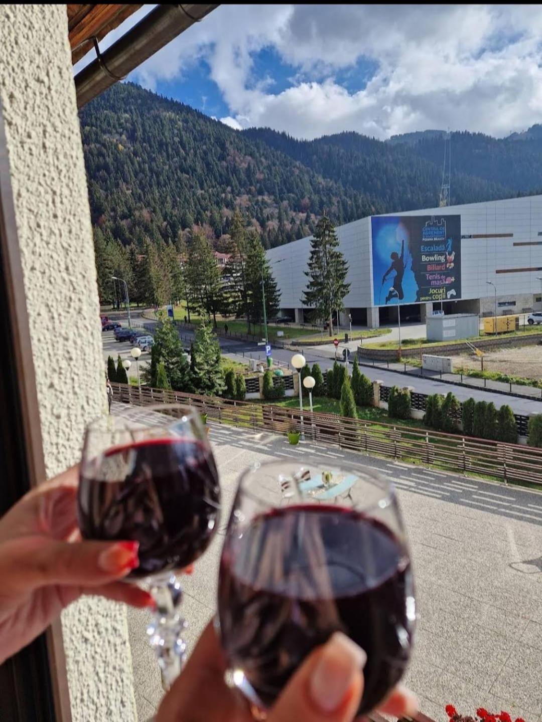 Vila Pinul Si Mesteacanul Poiana Brasov Ngoại thất bức ảnh