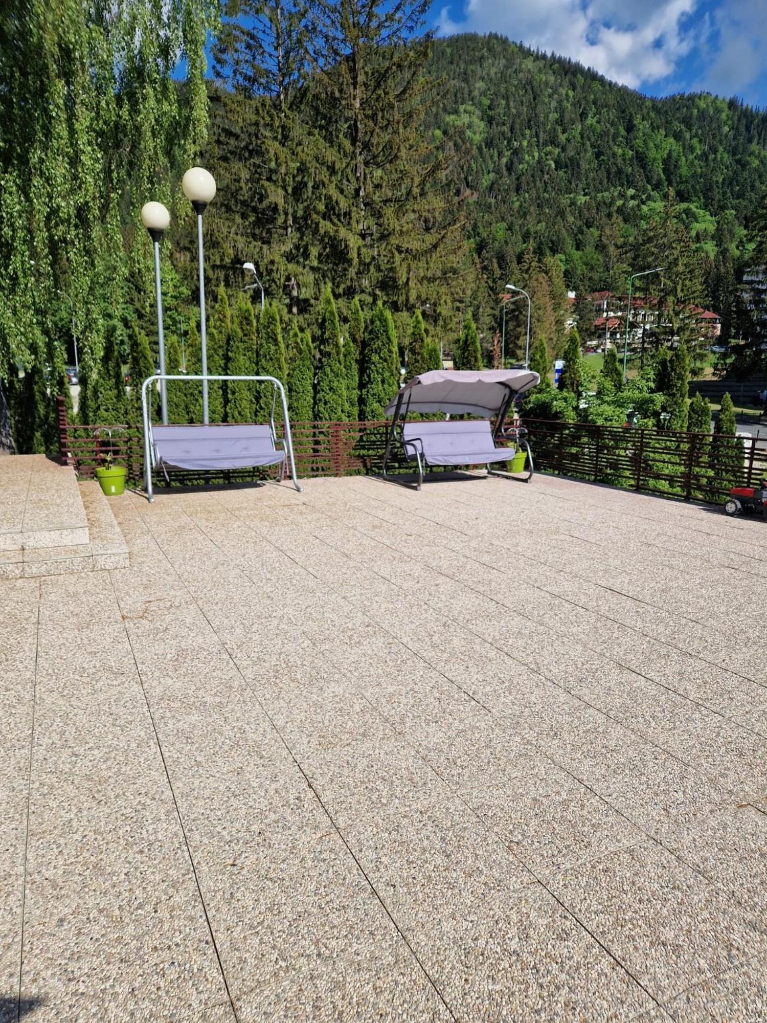 Vila Pinul Si Mesteacanul Poiana Brasov Ngoại thất bức ảnh