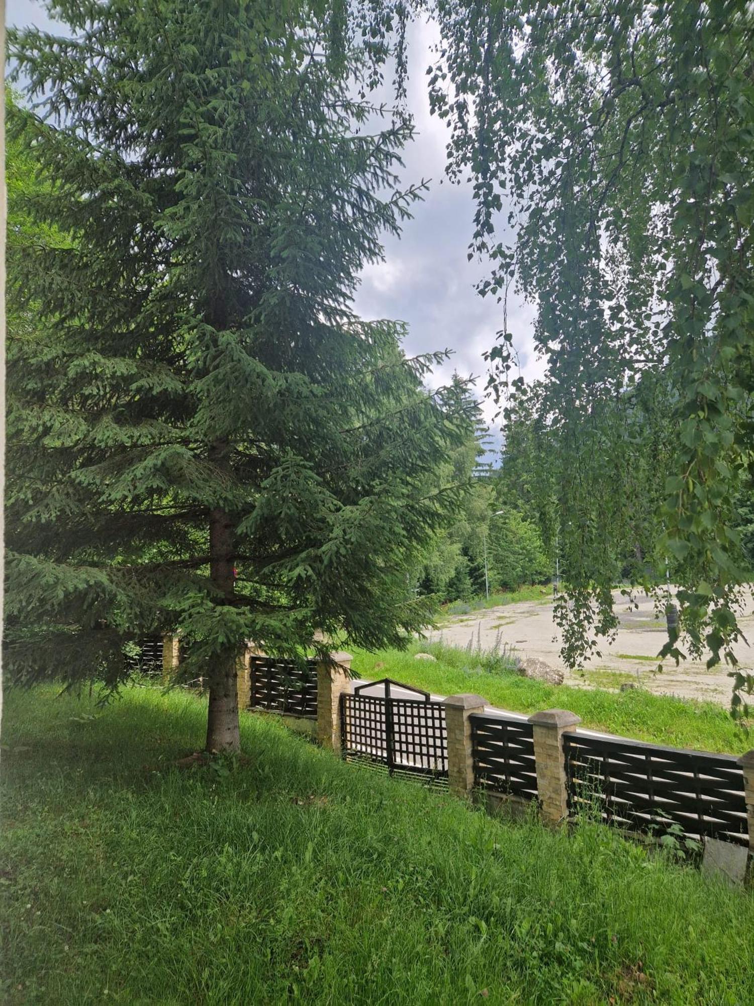 Vila Pinul Si Mesteacanul Poiana Brasov Ngoại thất bức ảnh