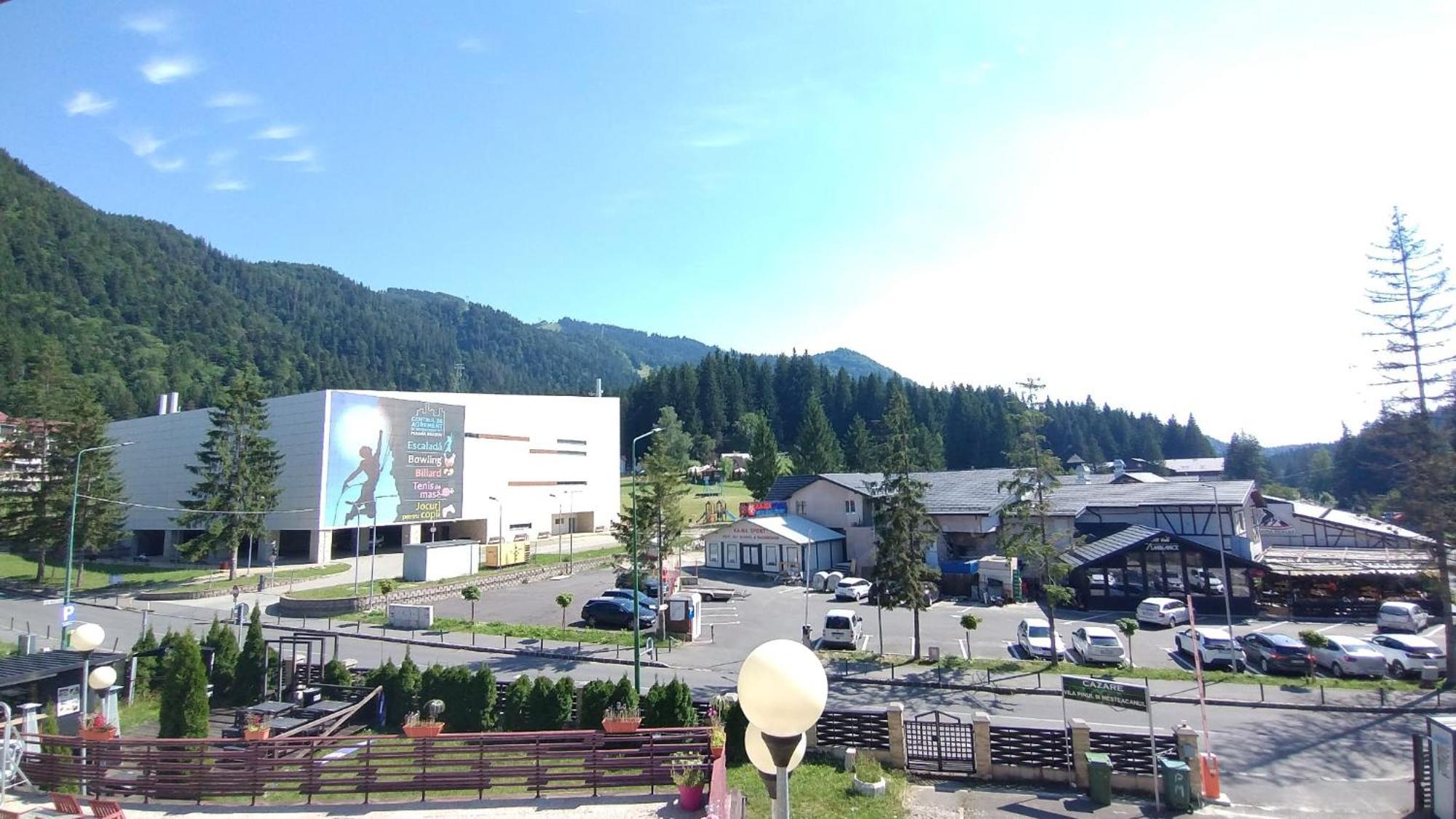 Vila Pinul Si Mesteacanul Poiana Brasov Ngoại thất bức ảnh